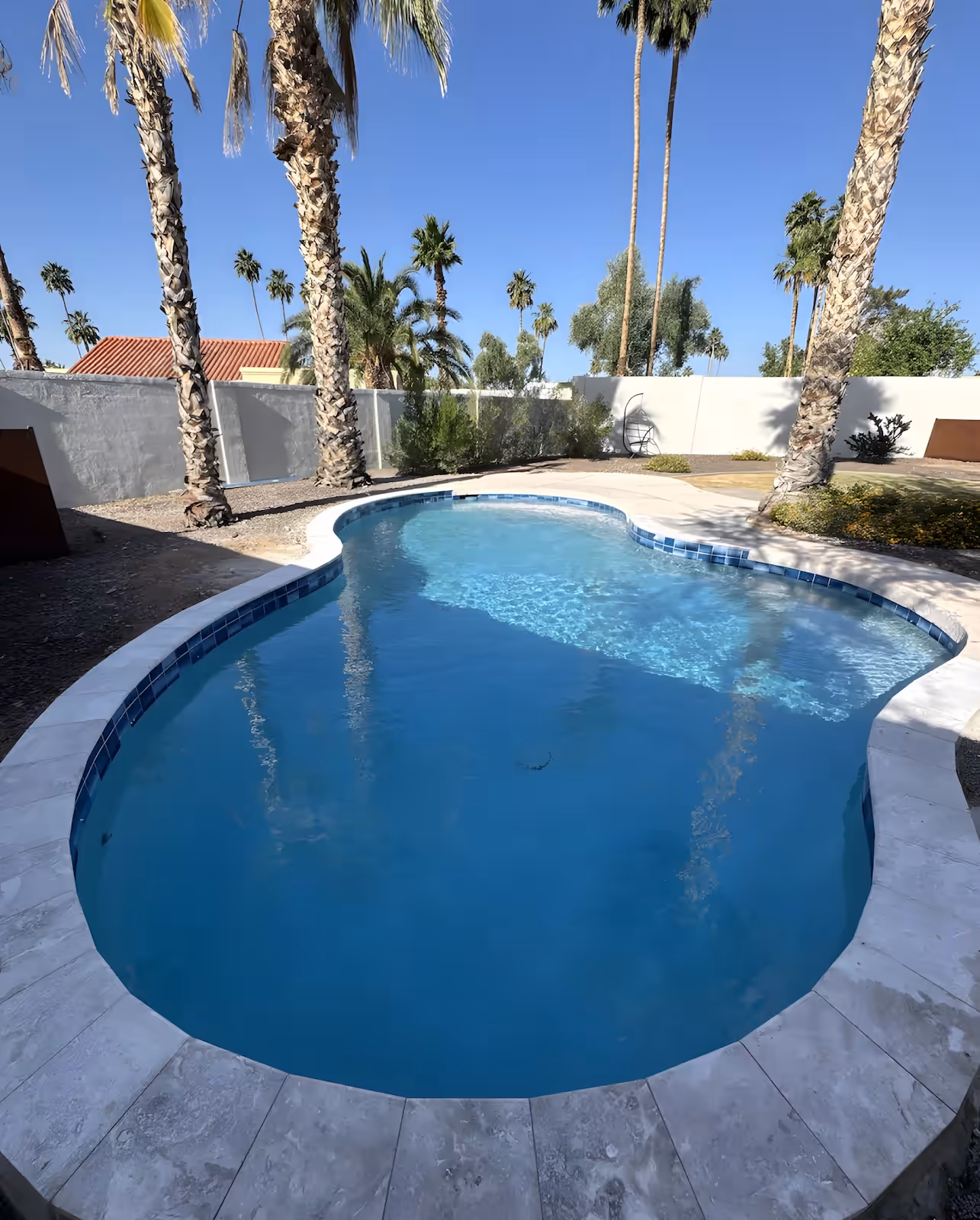 Clear blue backyard pool surrounded by palm trees